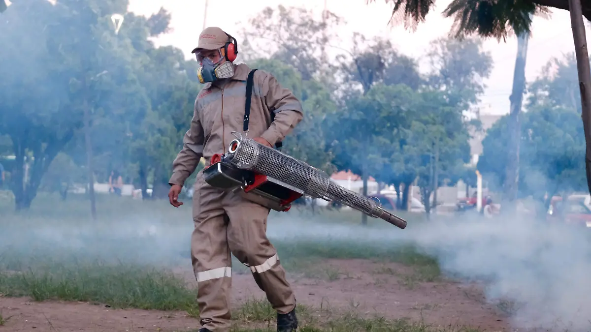 Dengue, Foto Salus Jalisco (4)